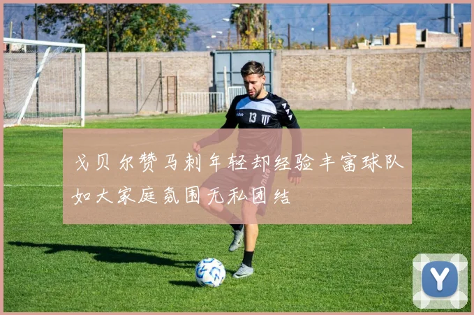 戈贝尔赞马刺年轻却经验丰富球队如大家庭氛围无私团结