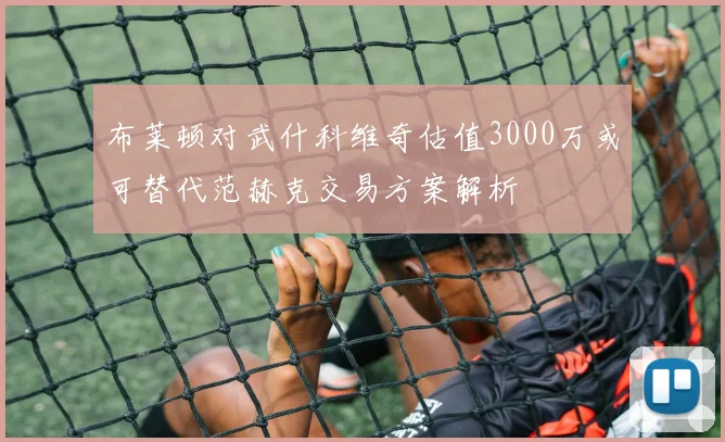 布莱顿对武什科维奇估值3000万或可替代范赫克交易方案解析